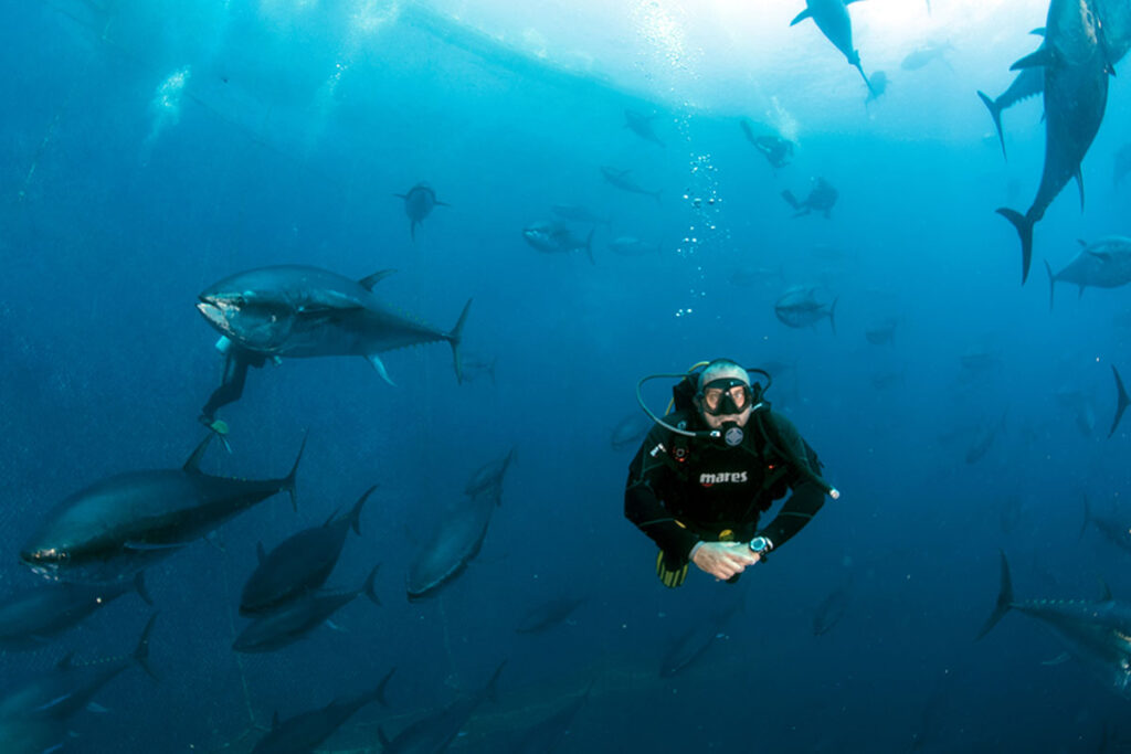 marco daturi scuba diver